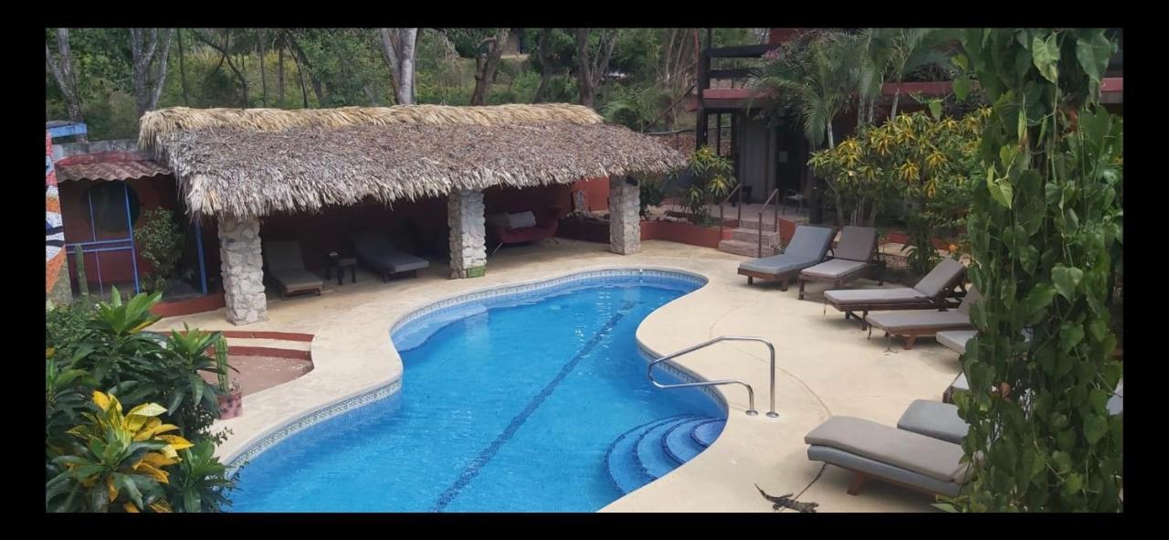 Massai Apartments Playa Flamingo Dış mekan fotoğraf
